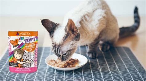 bff cat food review|weruva bff cat food review.